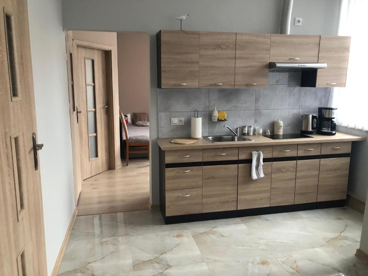 Apartament Roza ギジツコ エクステリア 写真